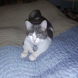 Meet your Posher, Eric